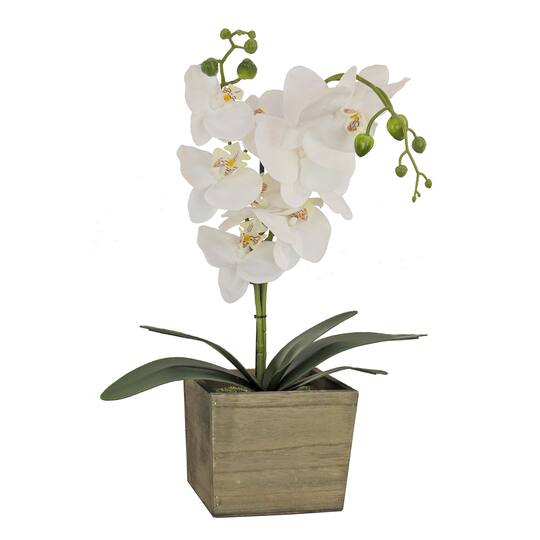 21&#x22; Orchid Flower In Wood Box